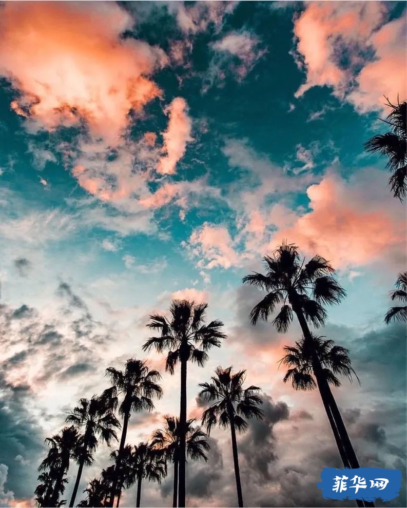 2024年 菲律宾 杜马盖地攻略 看三年岛民的推荐就够了w2.jpg