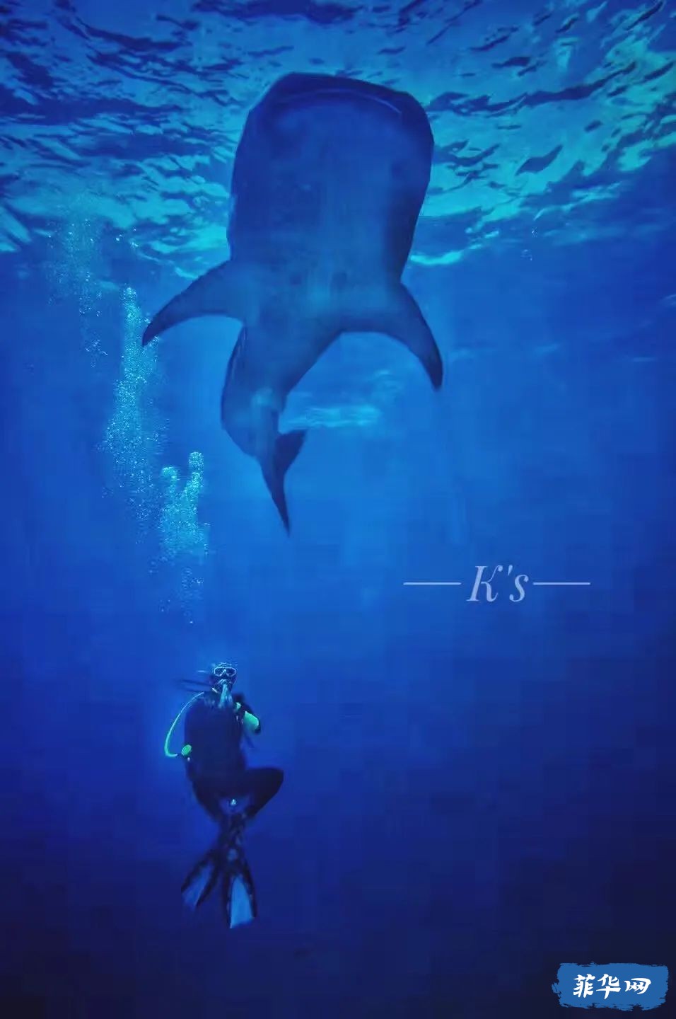 2024年 菲律宾 杜马盖地攻略 看三年岛民的推荐就够了w22.jpg