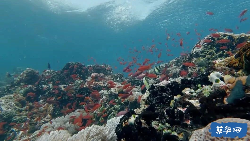 菲律宾（上）PG岛 @2024w33.jpg