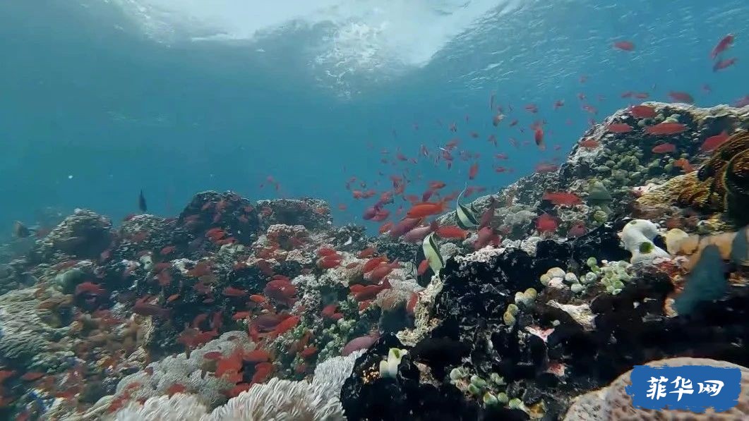 菲律宾（上）PG岛 @2024w32.jpg