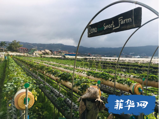 菲律宾山城碧瑶---体验夏都的浪漫（两天一夜游）w20.jpg