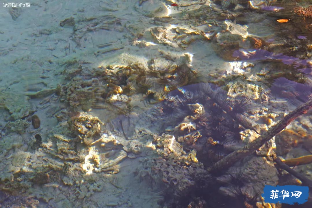 菲律宾最美的海上泻湖，海水堪比马尔代夫，当地人划着船收门票