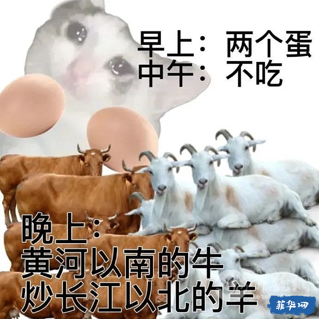 菲律宾新晋网红美食，夏威夷冲浪碗到底怎么火起来呢？