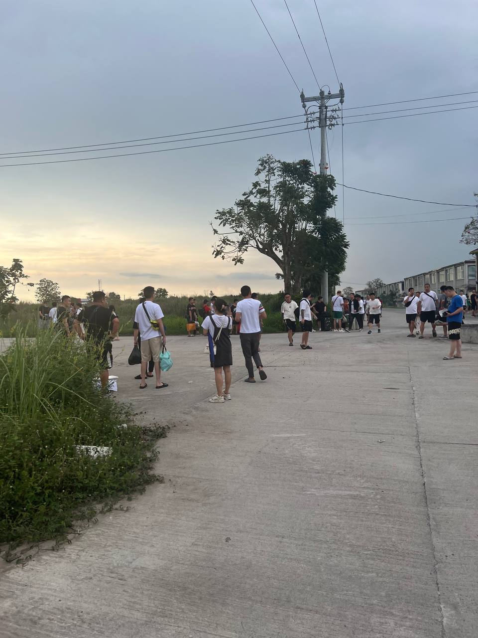 今天三号园区终于出事了  千盼万盼总算盼有这一天
