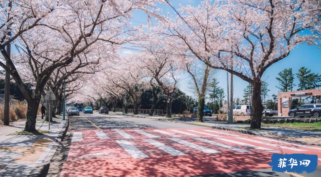菲律宾也有直飞济州岛的航班了？居然连签证都免了！