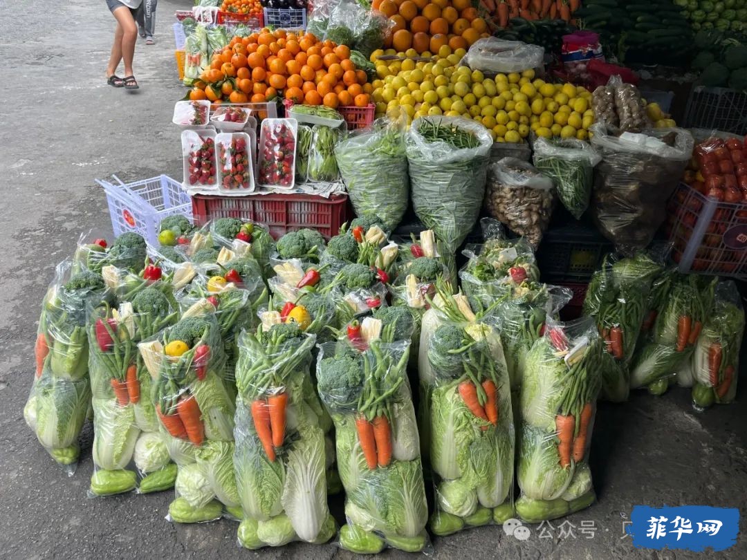 来菲律宾4个月，我都去过哪些城市？w9.jpg