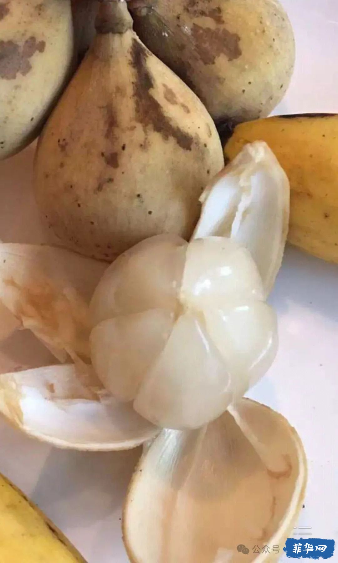 菲律宾留学日记：不想做饭，吃什么？w10.jpg