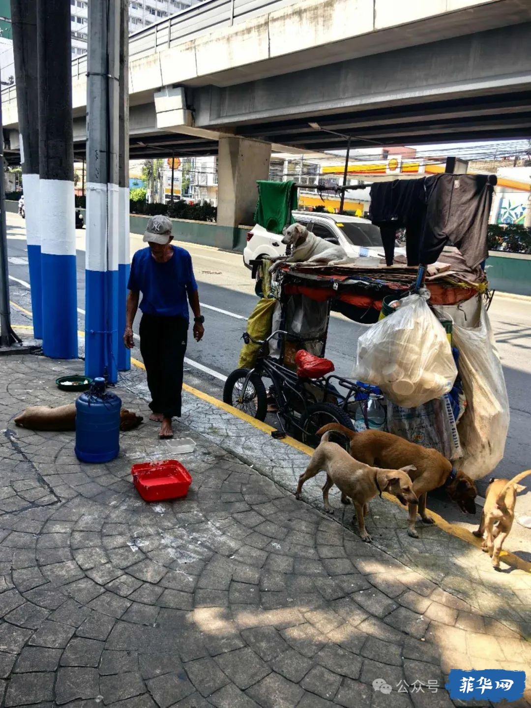 菲律宾留学日记：马尼拉街头的屎w2.jpg