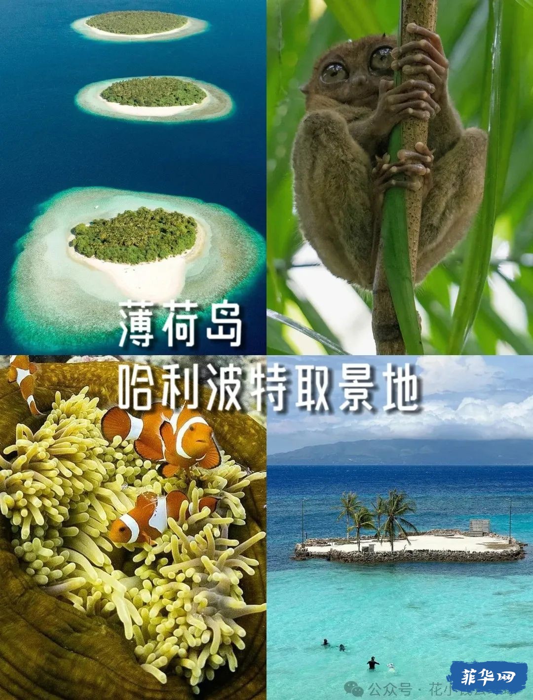 刚从菲律宾回来，有些话不知当讲不当讲，带你看看真实的菲律宾w14.jpg