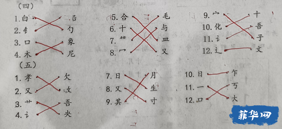 中菲婚姻的孩子在菲律宾如何学好中文？