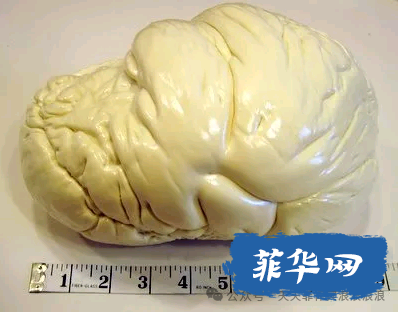 听菲律宾导游聊菲律宾最有趣的十件事儿 别说有些我还真不知道w6.jpg