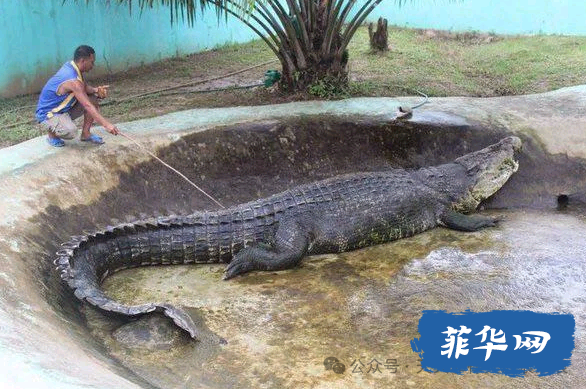 听菲律宾导游聊菲律宾最有趣的十件事儿 别说有些我还真不知道w7.jpg