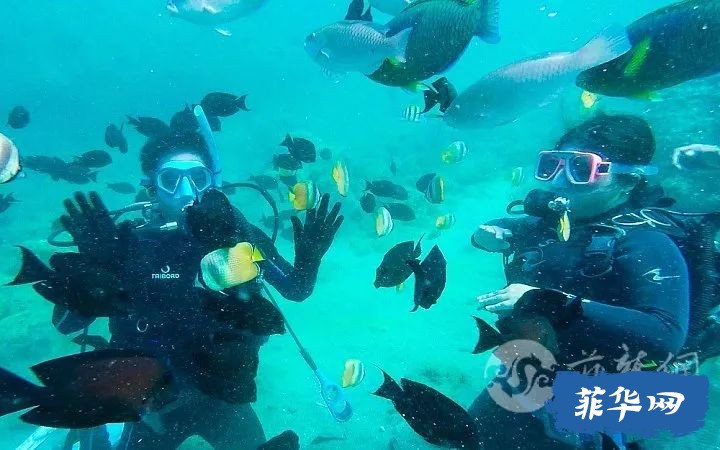 新手也能考国际潜水证？八打雁这家潜水村让你轻松玩转大海！w24.jpg