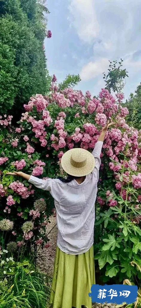 如果自由的代价是孤独，那么我愿意---菲律宾留学日记w5.jpg