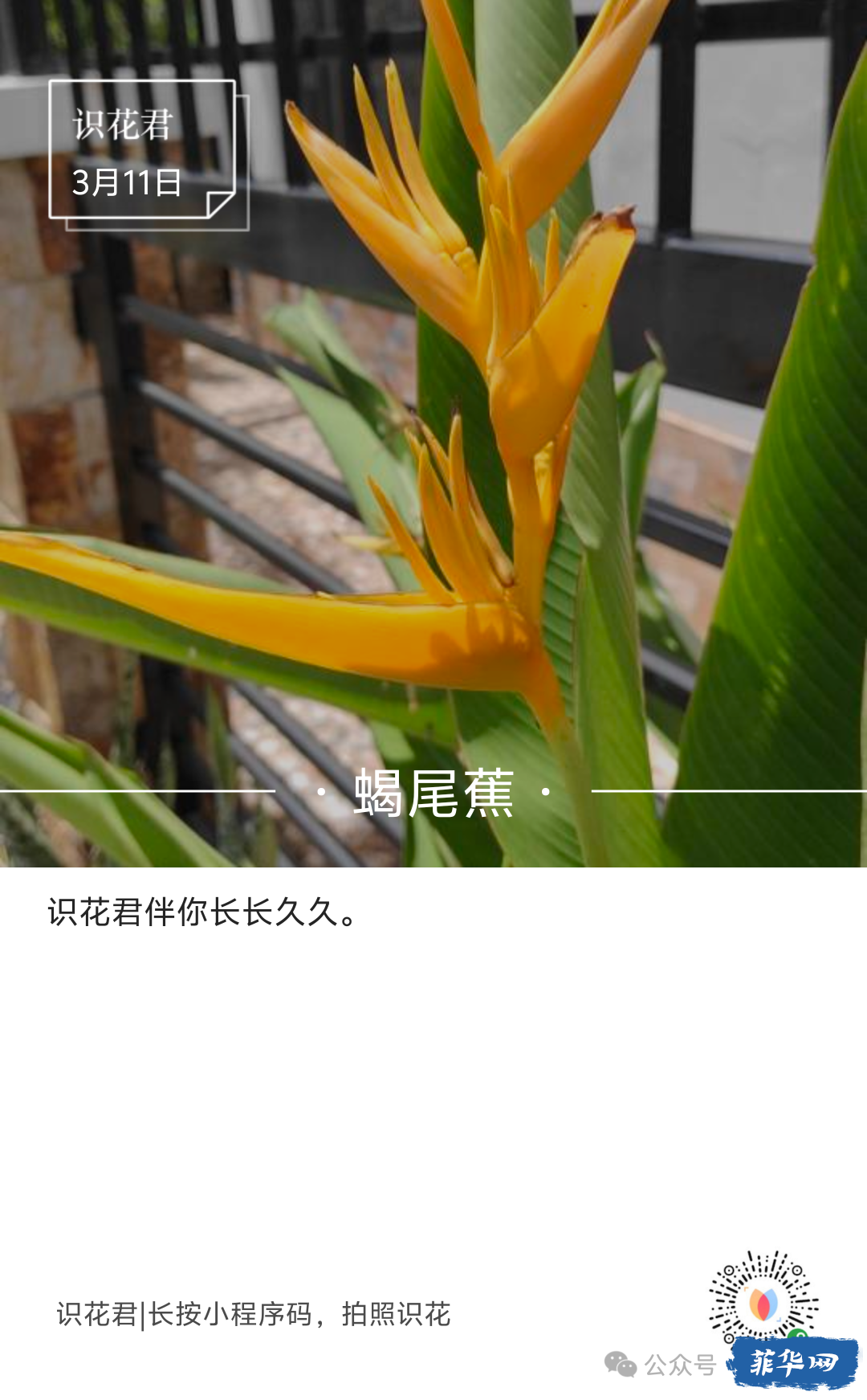 别问兜里多少钱，看看青春还有多少年？w15.jpg