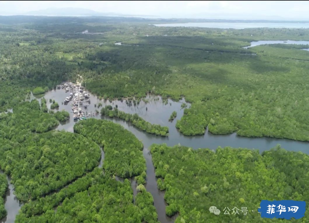 国际“湿地公约”及菲律宾十处列入公约保护名录的湿地w47.jpg