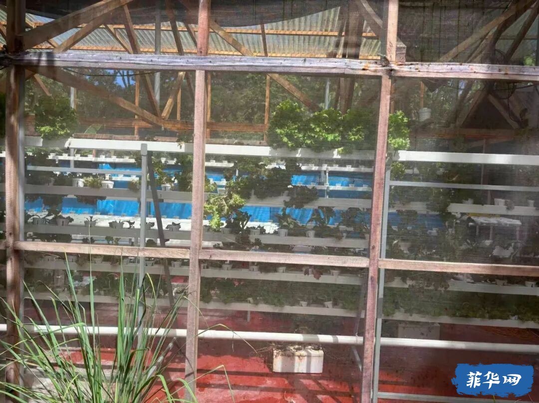 偶遇一个极具创意的度假村 及中外菲大家度假的消费模式w13.jpg
