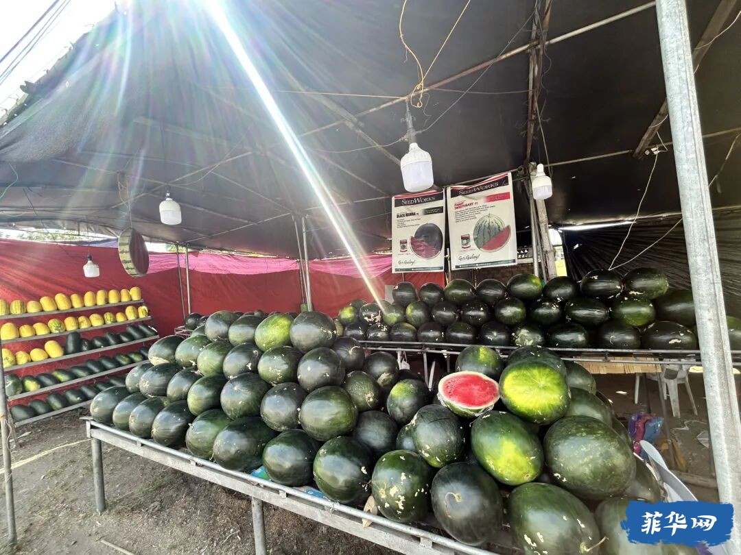 菲律宾la union 游玩 第二天w4.jpg