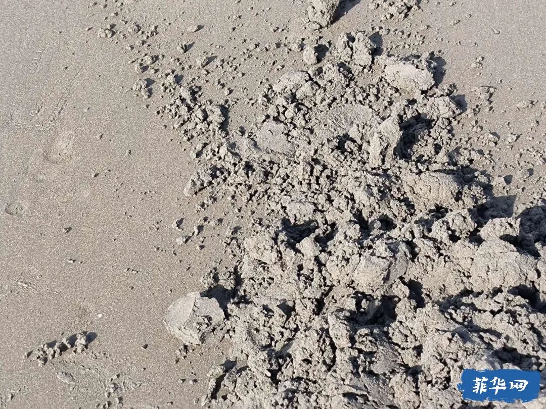 菲律宾la union 游玩 第二天w3.jpg