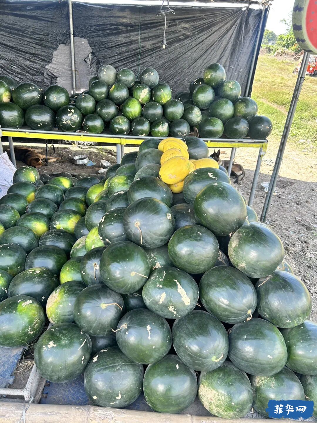 菲律宾la union 游玩 第二天w5.jpg