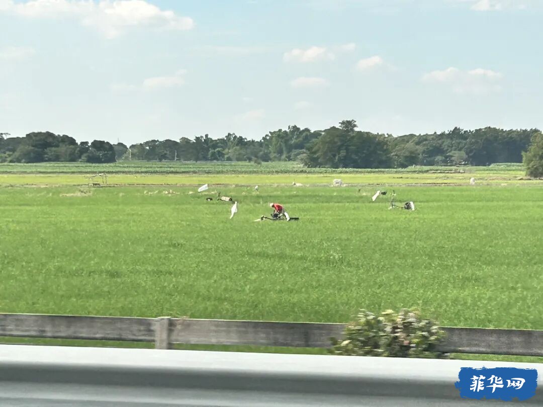 菲律宾la union 游玩 第二天w7.jpg