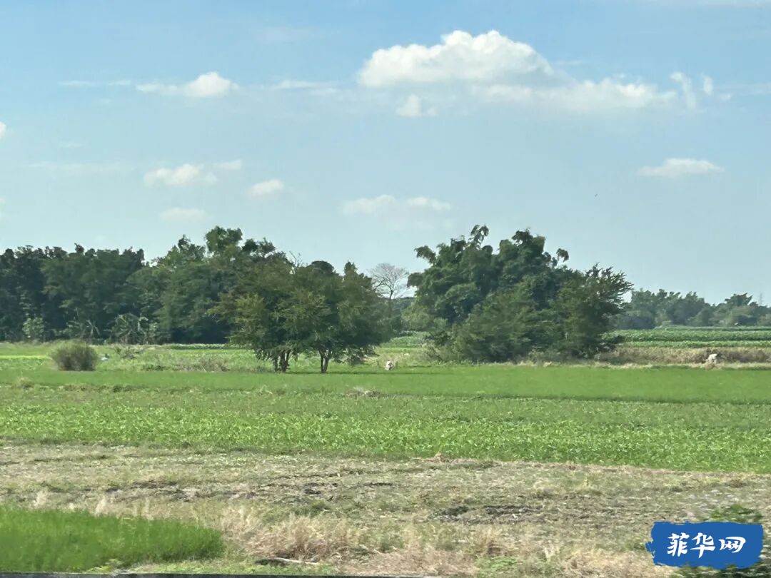 菲律宾la union 游玩 第二天w6.jpg